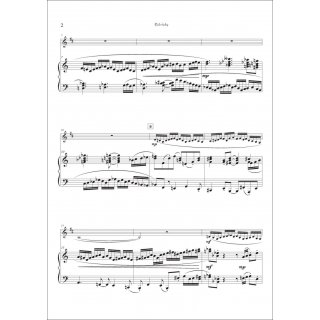 Color'tudes fuer Bass Klarinette und Klavier von Howard J. Buss-3-9790502881672-NDV BP0497