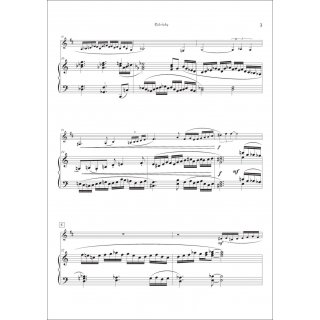 Color'tudes fuer Bass Klarinette und Klavier von Howard J. Buss-4-9790502881672-NDV BP0497