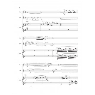 Night Flight fuer Trio (Flöte, Klarinette, Fagott) von Howard J. Buss-3-9790502881726-NDV BP0363