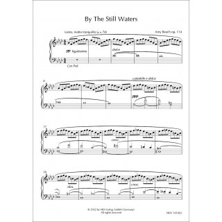 By The Still Waters fuer Klavier Solo von Amy Beach-2-9790502882150-NDV 101062