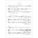 Spring Reverie fuer Trio (Flöte, Violine, Viola) von Howard J. Buss-4-9790502882655-NDV 511X