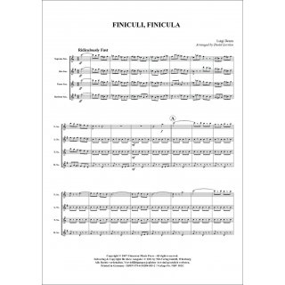 Funiculi, Funicula fuer Quartett (Saxophon) von Luigi Denza-2-9790502880552-NDV 502C