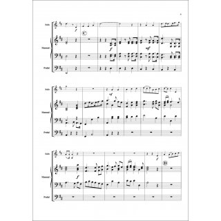 The Trumpet Shall Sound fuer Trompete & Orgel von G. F. Händel-4-9790502880477-NDV 1316C