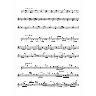 Variationen auf Greensleeves fuer Flöte Solo von Paul Morgan-3-9790502880842-NDV 022C