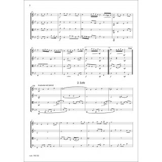 In Trauer zum Licht fuer Quartett (Streicher) von Michael Zschille-3-9790502880675-NDV 150100