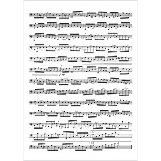 Partita BWV 1013 fuer Orgel Solo von J.S. Bach-3-9790502880835-NDV 1956C