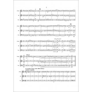 10 Weihnachts-Trios fuer Trio (Trompete, Horn, Posaune) von Micah Everett (arr.)-4-9790502880798-NDV 2403C