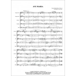 Ave Maria fuer Quintett (Blechbläser) von Franz Schubert-2-9790502881115-NDV EC537M